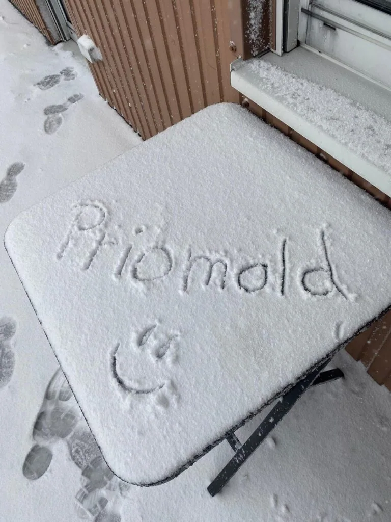 priomold Schriftzug im Schnee als kreatives Wintermotiv für priomold on Tour und Teamverbundenheit.